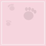 Food & water bowls & fountains
