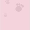 Purrlino Treat Puzzle Pawwork - Puzzle toy - One Size