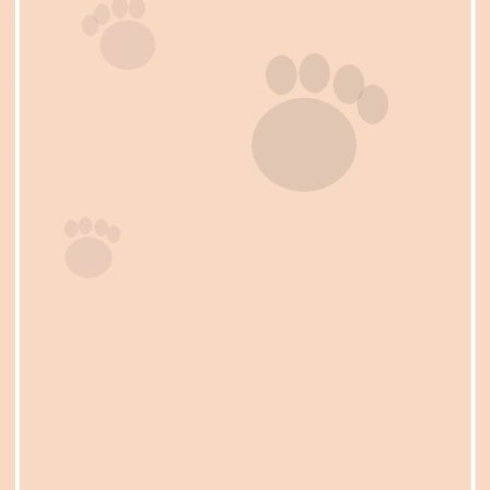 Fluweelpoot Cat Harness Walk - Cat harness - XS-M